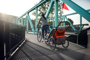 bike trailer